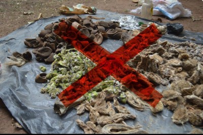 Côte d'Ivoire : Lutte contre le trafic de la faune sauvage, saisie de deux colis contenant des carcasses d'animaux issues de braconnage à bord d'un car de transport