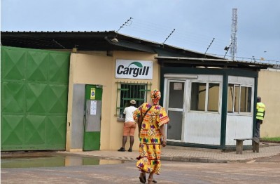 Côte d'Ivoire : Filière Cacao, l'américain Cargill a-t-il suspendu son activité de broyage des fèves ?