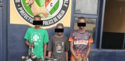 Côte d'Ivoire : Daloa, un gang spécialisé dans le vol de motos interpellé et déféré au Parquet pour procédure Judiciaire