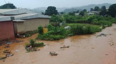Côte d'Ivoire : Tragédie à Biankouma, le corps sans vie d'une jeune élève de 9 ans retrouvé près de la rivière Goh