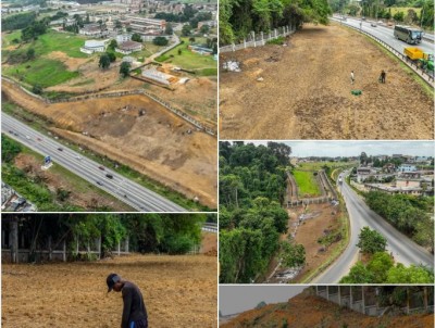 Côte d'Ivoire : Université Félix Houphouët-Boigny de Cocody, des travaux de désherbage en cours, objectifs visés