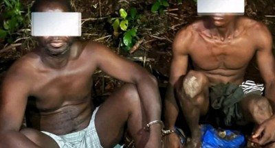 Côte d'Ivoire : Deux suspects interpellés pour le meurtre d'une dame à Yamoussoukro