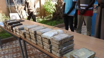 Niger : Saisie record de cocaïne à Gaya, trois suspects arrêtés