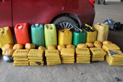 Côte d'Ivoire : Trafic de drogue, les Douanes ivoiriennes saisissent 74 kg de cannabis sur l'axe Aboisso-Abidjan