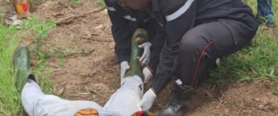 Côte d'Ivoire : Plusieurs accidents signalés dans des localités en deux jours, des morts et blessés dénombrés