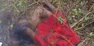 Côte d'Ivoire : Facobly, meurtre brutal, une veuve de quarante ans retrouvée mutilée en forêt