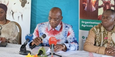 Côte d'Ivoire : Interprofession petits ruminants, le PCA annonce la mise en place d'une plateforme numérique et une foire Tabaski 2026