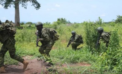 Côte d'Ivoire : Sécurisation des élections législatives 2025, l'armée ivoirienne lance un exercice de simulation dans l'Est du pays