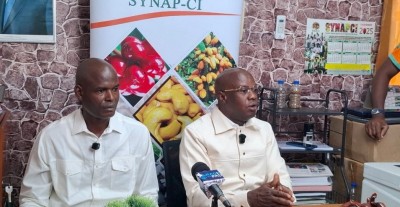 Côte d'Ivoire : Filière cacao,  la campagne 2025-2026 au bord de l'asphyxie, plus de 700 000 tonnes bloquées selon des producteurs, la tête de Yves Brahima Koné réclamée
