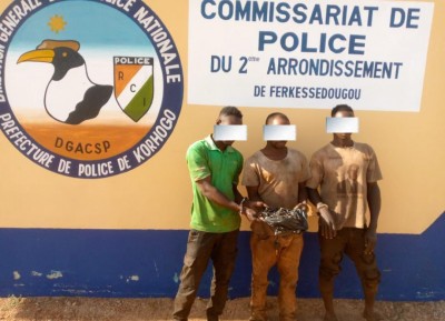 Côte d'Ivoire : Ferkessédougou, démantèlement d'un réseau de vol de motos