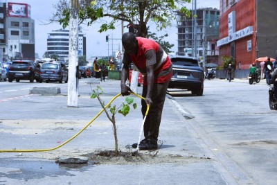 Côte d'Ivoire : Aménagement urbain, le Boulevard Félix Houphouët Boigny en voie de verdissement