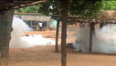 Côte d'Ivoire : M'Batto, colère autour du prix du cacao, des affrontements éclatent entre manifestants et forces de l'ordre