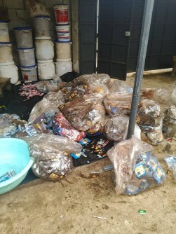 Côte d'Ivoire : Mise en danger de la vie d'autrui, elle fabriquait du chocolat destiné à la commercialisation dans des conditions insalubres, interpellée et déférée devant le Procureur