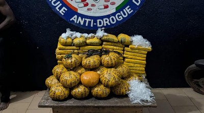 Côte d'Ivoire :  Daloa, un vaste réseau de trafic de stupéfiants mis à nu par la gendarmerie