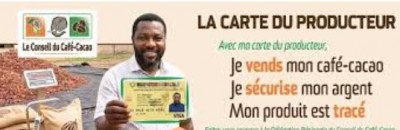 Côte d'Ivoire : La carte du producteur  obligatoire pour toutes  transactions commerciales de café-cacao à partir du 1er septembre