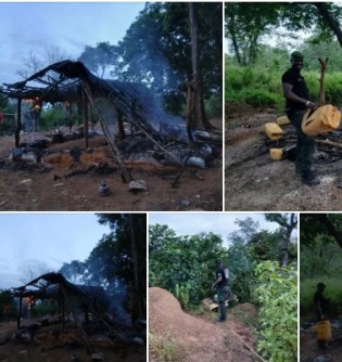 Côte d'Ivoire : Lutte contre l'orpaillage illégal , des clandestins qui occupaient la forêt classée de Loho  délogés