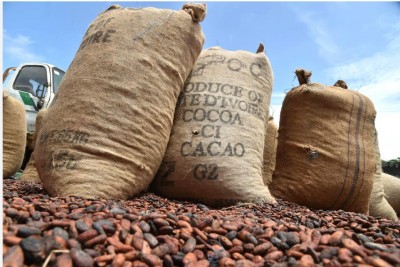 Côte d'Ivoire : Cacao, la sollicitation de financement de 15,8 milliards de francs CFA faite par l'OIA qui interpelle
