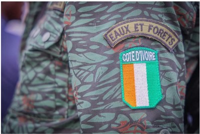 Côte d'Ivoire : Concours direct d'entrée à l'Ecole des Eaux et Forêts, les résultats de la visite médicale sont disponibles, dispositions pour les épreuves sportives