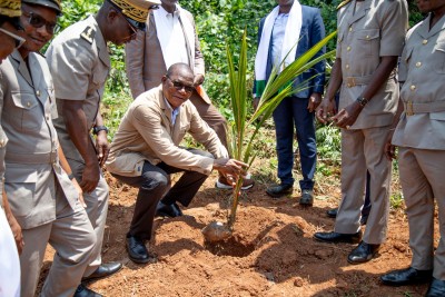 Côte d'Ivoire : Coco ivoirien, le gouvernement veut briser le vieux modèle de la noix vendue brute