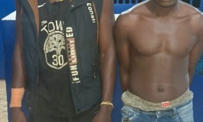 Côte d'Ivoire : Lutte antidrogue, deux dealers présumés appréhendés par une patrouille