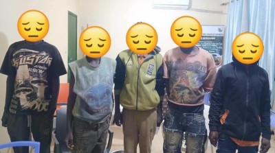 Côte d'Ivoire : Sirasso, cinq orpailleurs burkinabè interpellés sur un site clandestin, deux présumés financiers en fuite