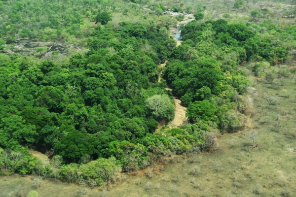 Côte d'Ivoire : Lutte contre la déforestation, décrets et textes de loi ado...