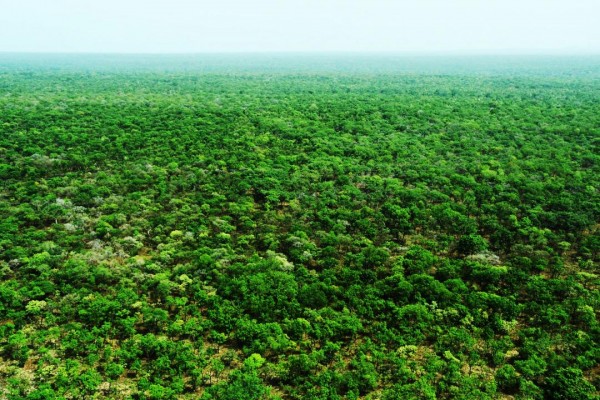Côte d'Ivoire : Lutte contre la désertification et la sécheresse, les initiatives en faveur...