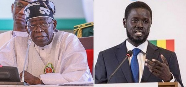 Nigeria-Sénégal :  Tinubu félicite le Président élu, Diomaye Faye, avec le soutien de la CEDEAO