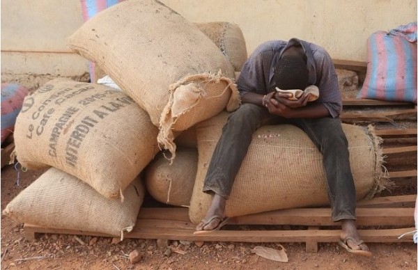 Côte d'Ivoire : Après la hausse du prix du cacao à 50 %, des ...