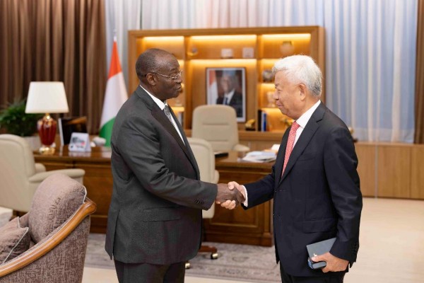 Côte d'Ivoire : Le Vice-Président de la République a échangé avec le Président de la Banque...