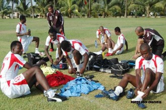 Les Ecureuils bloqués dans leur hôtel