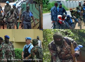 TRIBUNE: L'ONU et les FAFN sèment le trouble à  Abidjan