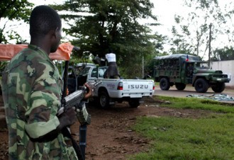 TRIBUNE: Memoires de Rebelle: Bouake 2002!