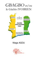 TRIBUNE: Gbagbo et/ou le gachis ivoirien