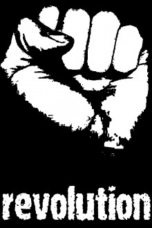 TRIBUNE: Que cela soit ainsiÂ… Puisque raison ne peut être entendue