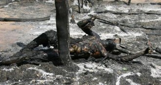 TRIBUNE: Les patriotes brûlent vif un ressortissant burkinabé