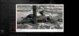 TRIBUNE: ENCORE DES  MANOEUVRES MEDIATIQUES DEMASQUEES