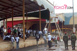 Des jeunes pro-Biya mobilisés à  Yaoundé