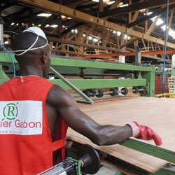 Le Gabon sÂ’octroie 35% de Rougier Afrique International