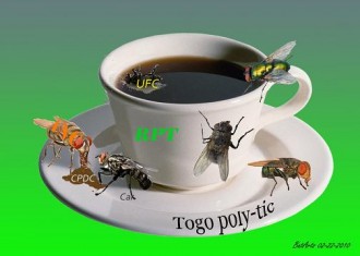 TRIBUNE TOGO: L'attrape mouche: un piege politique a la togolaise