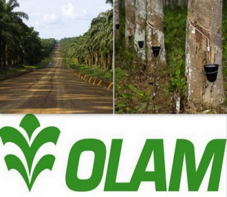 TRIBUNE GABON : Plein d'argent pour la production de caoutchouc!