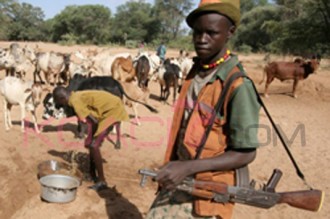 KENYA : Affrontements entre agriculteurs et bergers pour l'eau et la terre, 11 morts 