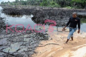 NIGERIA : Des Nigérians assignent le géant Shell devant la Haye