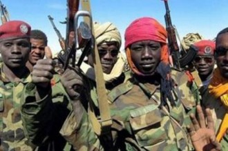 Centrafrique: Les rebelles stoppent leur avancée à  la condition dÂ’un dialogue avec le pouvoir