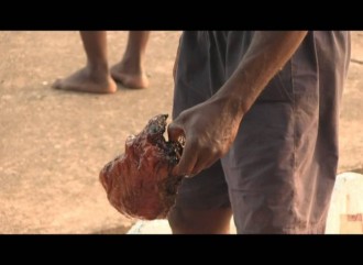 Benin : Des trafiquants dÂ’organes humains stoppés 