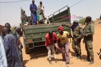 Guerre au Mali : Une cellule islamiste démantelée, 7 suspects arrêtés