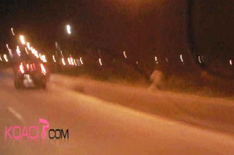 Côte d'Ivoire : Attaque de crocodiles à  Abidjan