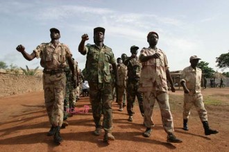 Centrafrique : Départ de lÂ’opération de cantonnement des combattants Séléka