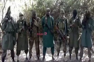 Nigeria: Boko Haram tue 20 personnes dans l'Etat de Borno