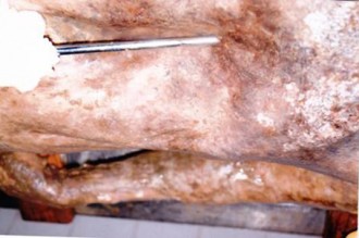 Gabon : Un corps mutilé retrouvé près de Lébamba